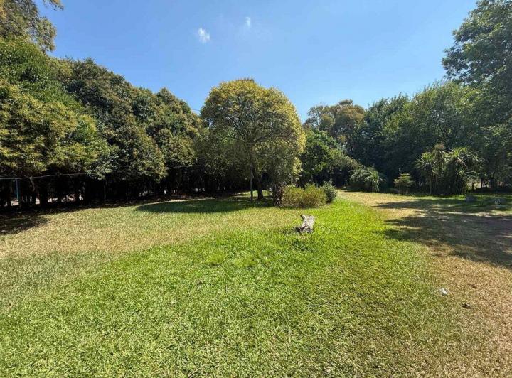 Terreno · 303m²