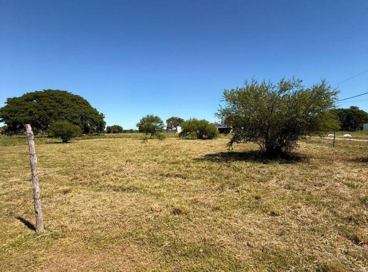 Terreno · 1000m²