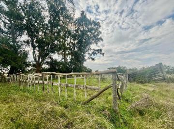 Campo · 35ha · 35 Has Agrícolas – Ganaderas en Magdalena Bs As