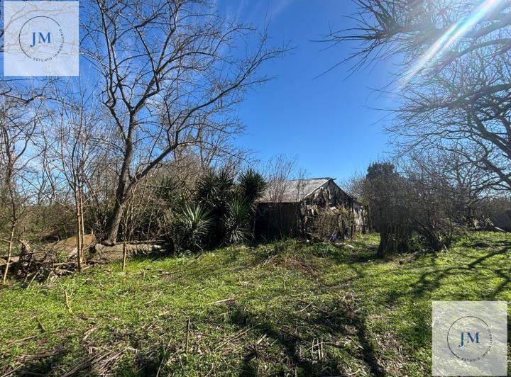 Campo · 33333m²