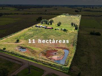 Campo · 11ha · Venta Chacra 11 Ha, Cabañas Monte Nativo Arroyo
