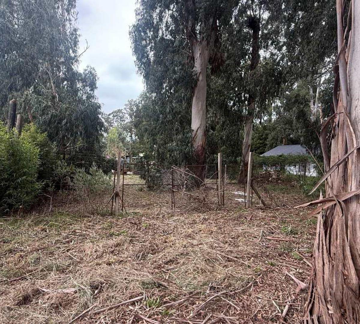 Lote de 375 m² en Acantilados, ideal para inversión