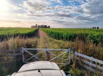 Campo · 207ha · Campo en Vivorata