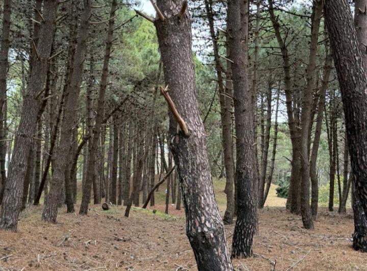 Terreno · 900m²