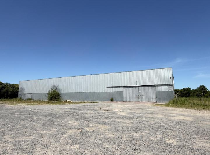 Bodega-Galpón · 60000ha