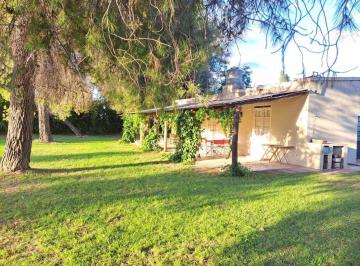 Campo · 150m² · 6 Ambientes · Venta Finca Productiva, Ideal Proyecto Turístico/agrícola en San Martín, Mendoza