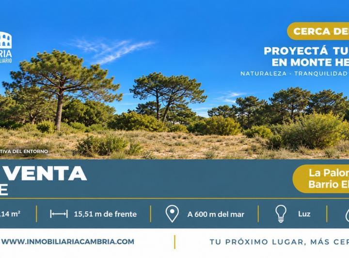 Terreno · 446m²
