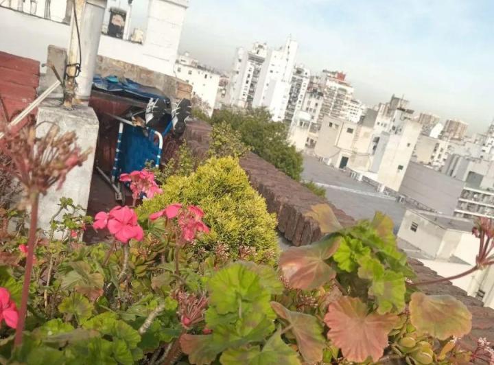 Departamento · 50m² · 2 Ambientes