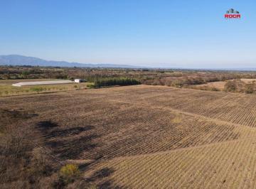Campo , Monterrico · Finca a La Venta de 12ha en San Vicente, Monterrico Jujuy