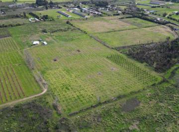 Terreno · 38500m² · Venta de Terreno de 3,850 Hectáreas Melilla