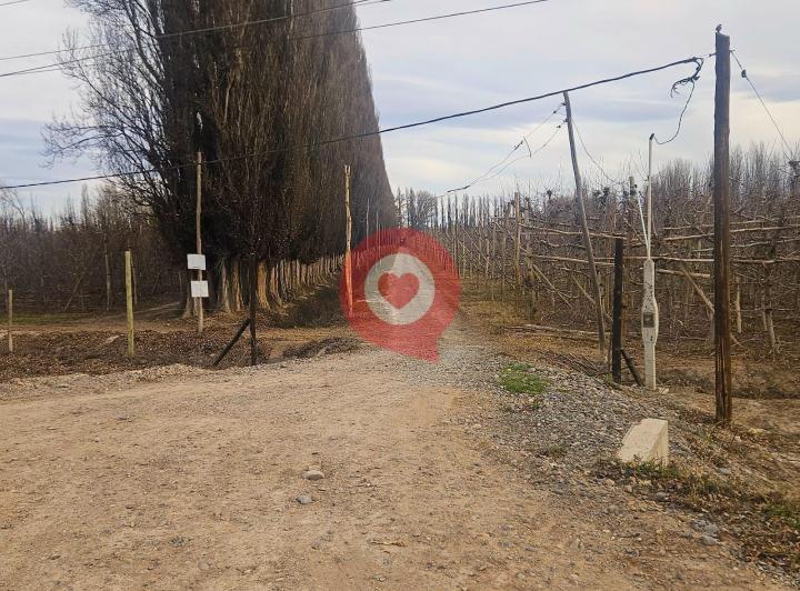 Campo · 108700m²