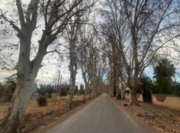 Terreno · 10000m² · Terrada y Olavarría