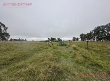Terreno · 60000m² · Campo de 6 Hectáreas a m de Ruta 6, San Vicente.