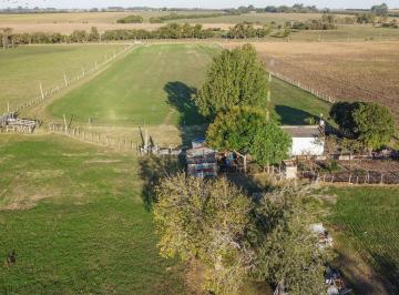 Campo · 36894m² · Venta Chacra 3 Ha Ruta 21 Km 237