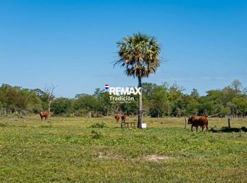 Campo · 589ha · Venta Campo Ganadero 589 Has Provincia del Chaco