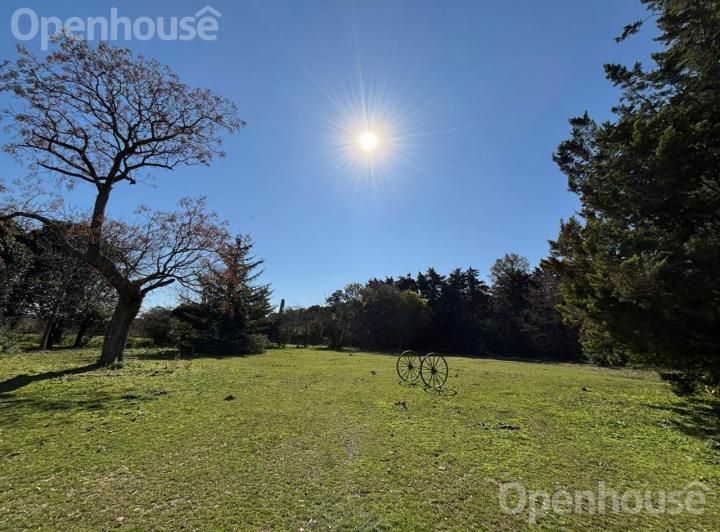 Campo · 130000m²