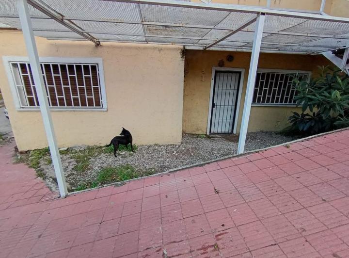 Departamento · 45m² · 3 Ambientes
