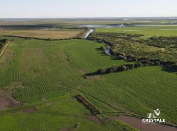 Campo · 49ha · 9 Ambientes · 4 Cocheras · Venta / Permuta - Campo 49,76 Ha - Victoria, Entre Ríos
