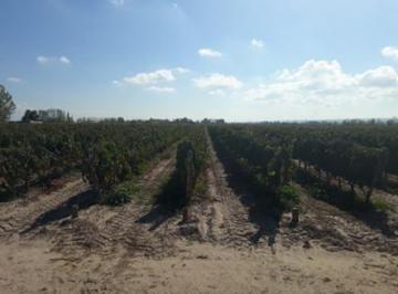 Bodega-Galpón · 77ha · Bodega - Ugarteche