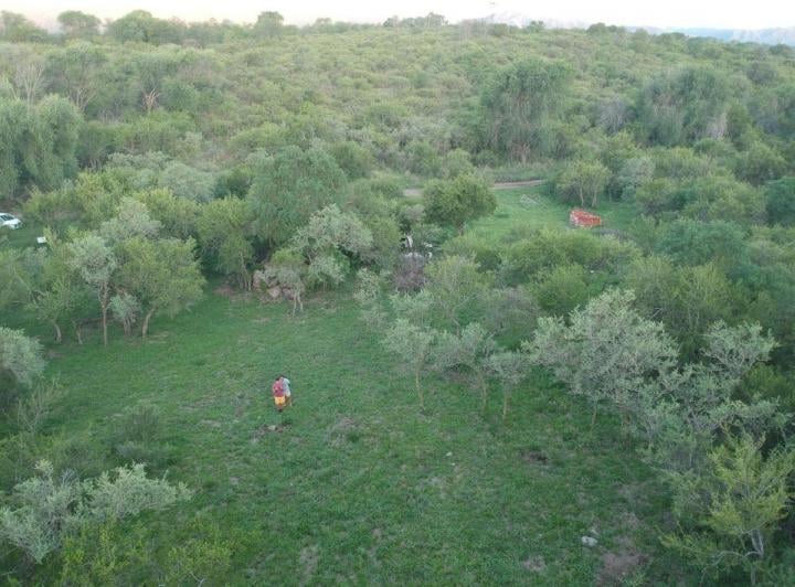 Terreno · 2664m²