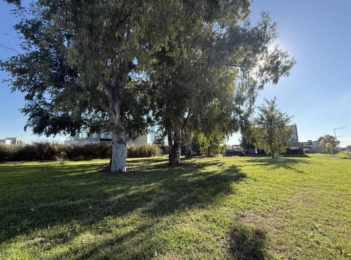 Terreno · 626m²