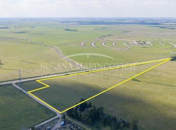 Campo · 75436m² · Campo / Fraccion Lindero a Ruta Apto Para Desarrollo Venta en San Vicente
