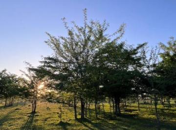 Campo , Marcos Paz · Venta Campo de 5 Hectáreas con Potencial de Desarrollo – Plomer, General Las Heras