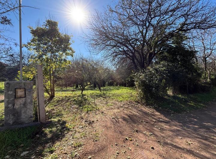 Terreno · 1313m²
