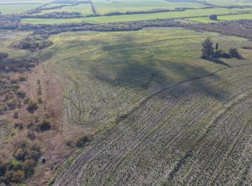 Campo · 98ha · Se Vende Campo Agricola