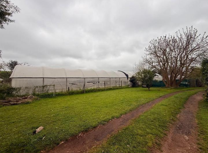 Terreno · 30000m²