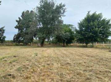 Terreno , Exaltación de la Cruz · Venta Dueño Directo - Lote Sakura III