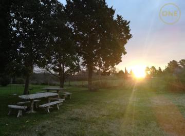 Campo · 105m² · 4 Ambientes · 1 Cochera · Campo de 2,2 Ha en Arturo Seguí, Calle 152 y 420