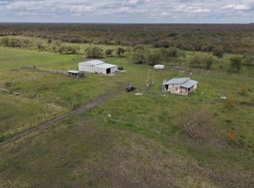 Campo · 162ha · Se Vende Campo Mixto de 162has!