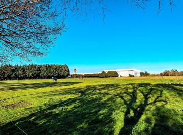 Campo · 3ha · Venta Campo 2,63 Ha Sobre Asfalto C/ Servicios