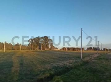 Terreno · 420m² · Lote en Venta en Barrio Cerrado La Aldea del Bosque 2 Lisandro Olmos