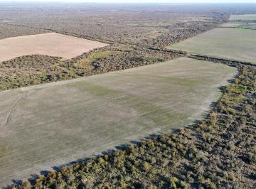 Campo · 5500ha · Campo Mixto