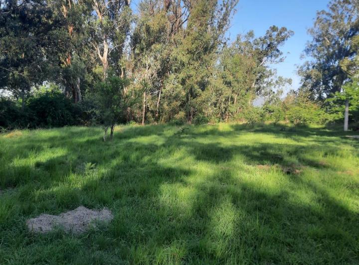 Terreno · 1400m²