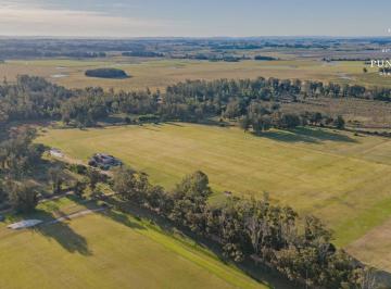 Terreno · 4005m² · Lote en Punta Polo, José Ignacio – 4.005 m² Sobre La Cancha Principal de Polo