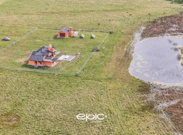 Campo · 264m² · 4 Ambientes · 2 Cocheras · Campo de 20 Ha en Tío Domingo, Gral. Madariaga