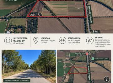 Terreno · 95000m² · Vende 9,5 Hectáreas – Camino San Carlos Km 10 – Doble Acceso – 450.000 Usd