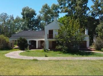 Campo · 226497ha · Ha Venta Brandsen