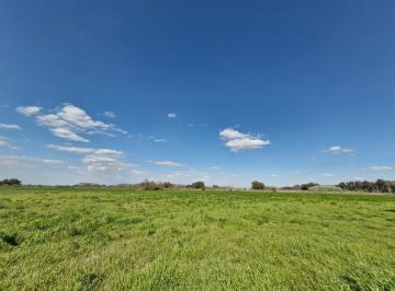 Campo · 25ha · Campo / Hectáreas en Venta en Canning Ezeiza