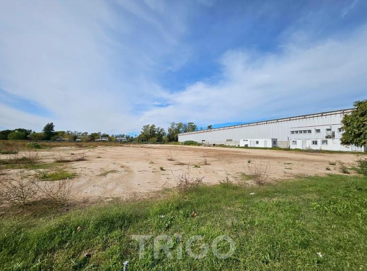Terreno · 11874m²