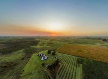 Fondo de comercio de 24 ambientes, Saladillo · Complejo Boutique - Turismo Rural, Agricultura y Ganadería