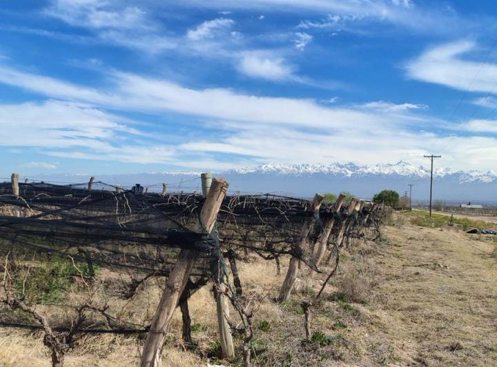 Terreno en venta en Tupungato