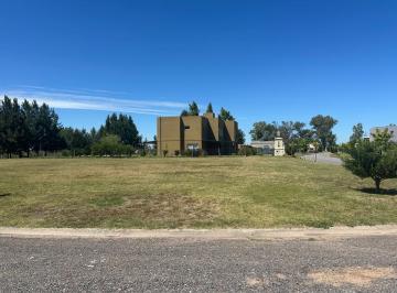 Terreno · 781m² · Lote 113 en Lagos de San Eliseo