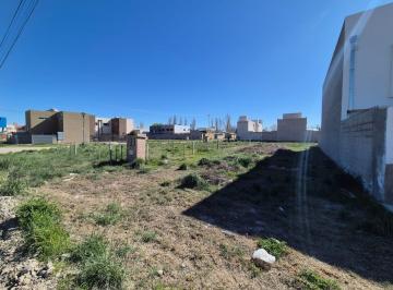 Terreno · 250m² · Lote en Venta en Stefenelli, General Roca, Río Negro