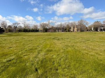 Terreno · 1250m² · Venta Lote/terreno Interno 1250 m² en Haras del Sur I