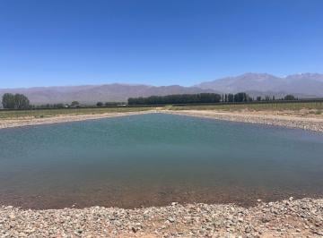 Terreno , Eugenio Bustos · Vendo 10 Ha en Pampa El Cepillo – Valle de Uco, San Carlos