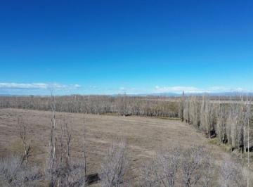 Campo , Malargüe · Campo en Venta de 1305ha Ubicado en Malargue